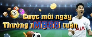 MB88